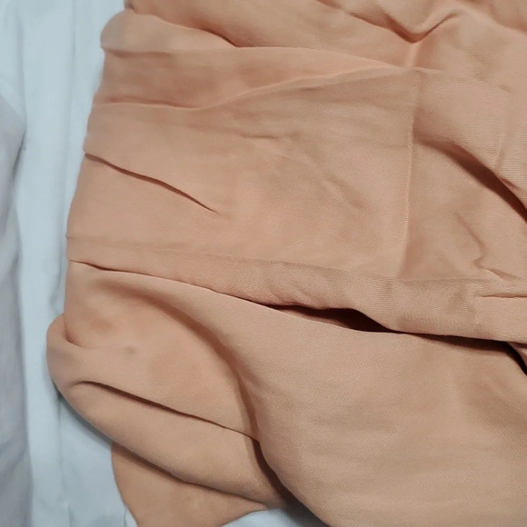 Bcbg maxazria brandy wide leg pleated flowing tan pants nwt - Picture 9 of 9